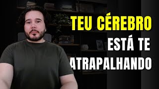 Reconfigura Teu Inconsciente Para Que Este Seja Teu Melhor Ano Um Plano Para 2026.