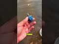 Tengo Una Tortuga En Medio De La Nada!