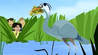 Wild Kratts S05EP11 Blue Heron