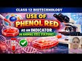 Use of phenol red as an indicator in animal cell culture #class12biotechnology #cbseboard2026 