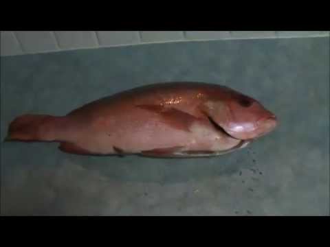 How to make salmon. - YouTube