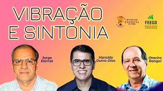 Vibração e sintonia  Haroldo Dutra Dias, Jorge Elarrat e Otaciro Rangel