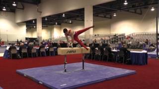 Levi Anderson - Pommel Horse - 2016 Winter Cup Prelims