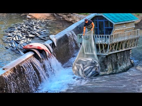 I Built a Very Comfortable and Warm Shelter on a Rock in Nature and I Caught Fish