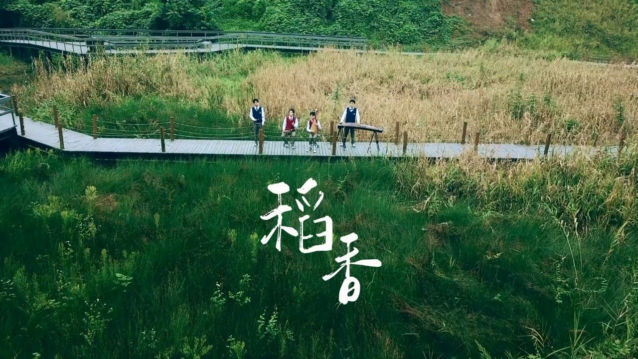 Jay Chou Rice Field 丨周杰伦《稻香》丨GuzhenErhuPipaDizi丨Traditional Chinese Music 你找到自己的快乐了吗？丨民乐也疯狂丨古筝琵琶二胡笛子