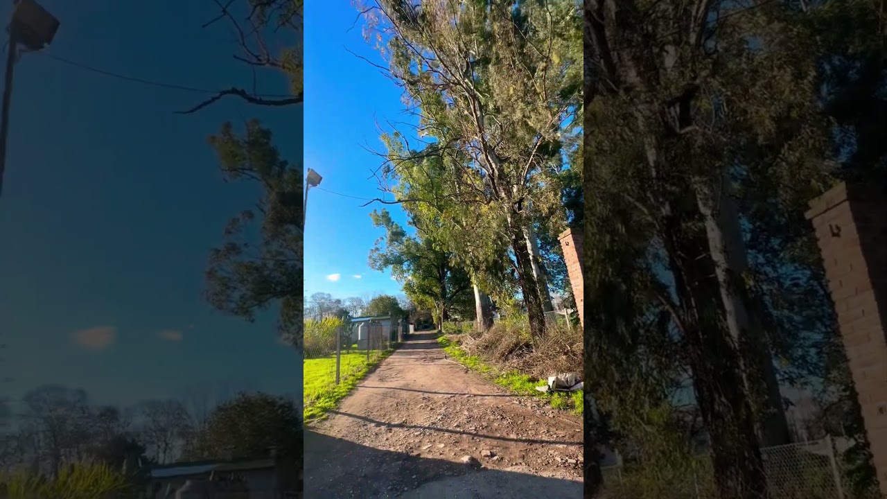 Es una jornada muy maravillosa en el predio de la facultad de #Agronomia de la UBA #shorts #bsas