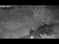 【野川】大沢池上映像監視局［三鷹市大沢6］