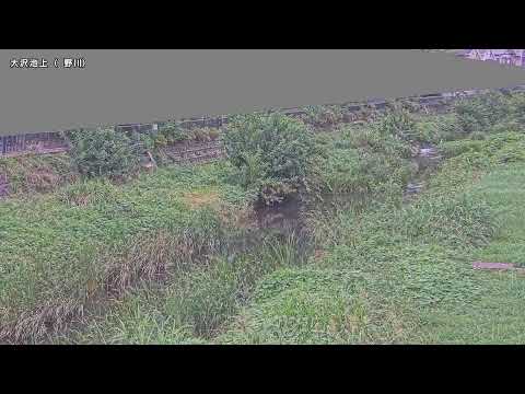 Nogawa Osawaike-kami live cam preview