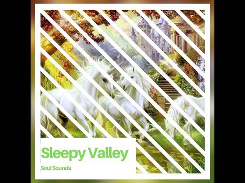 Spacemeditations" * Sleepy valley
