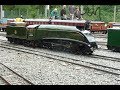 THE AMAZING 'STANDARD GAUGE' WEEKEND AT ECHILLS WOOD RAILWAY 2019