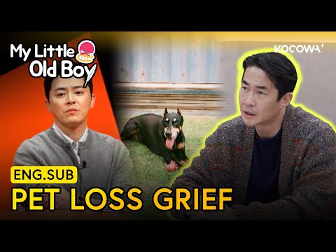 Heartbreak Jung Nam S Pet Loss Grief Cho Jung Seok S Empathy My Little Old Boy EP468 KOCOWA