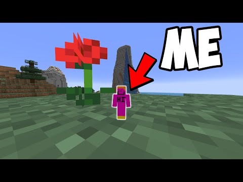 Minecraft, But I'm