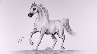 Learn to draw a horse with a pencil full time