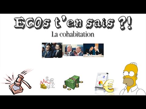 Vidéo: Quelles sont les raisons de la cohabitation ?