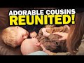 Cousins reunited! | Meet the Millers Family Vlogs