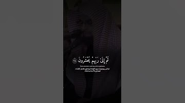 ﴿ وَمَا مِن دَابَّةٍ فِي الْأَرْضِ.. ماتيسر من سورة الأنعام | ناصر القطامي