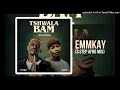 TitoM & Yuppe - Tshwala Bam (Emmkay 3 Step Mix) [Feat. S.N.E & EeQuel]