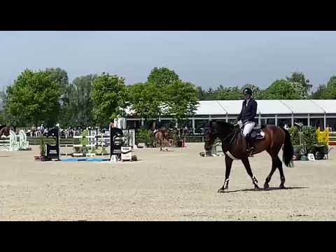 Renshaw van't Meulenhof - CSIYH1 Lummen - 11 05 2024 Renshaw van't Meulenhof - CSIYH1 Lummen - 11 05 2024