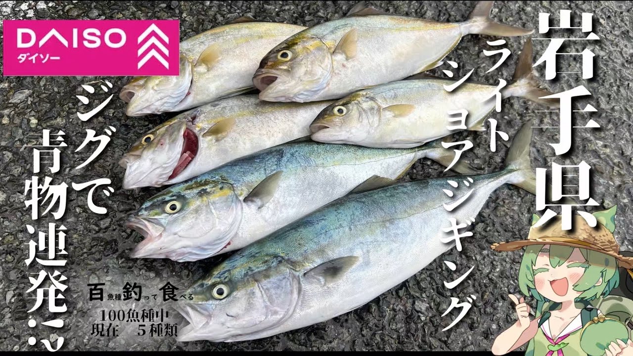 【岩手県】漁港からダイソージグで青物連発！？ライトショアジギング！【百釣食】