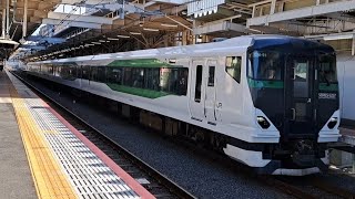 JR東日本E257系OM-51編成特急富士回遊71号河口湖行き国立駅通過(2024/1/18)