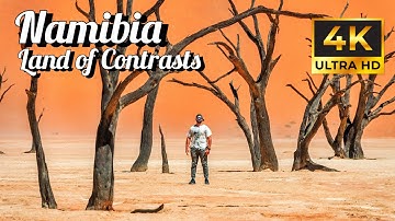 Namibia 4K | Land of Contrasts