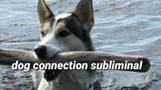 Dog Connection Subliminal