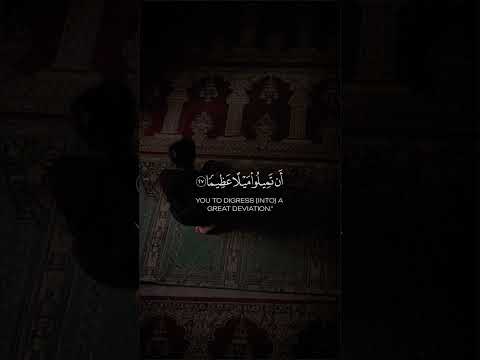 6 نونبر 2024