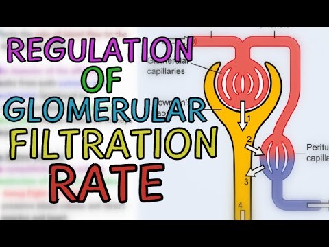 Gfr Rate Chart