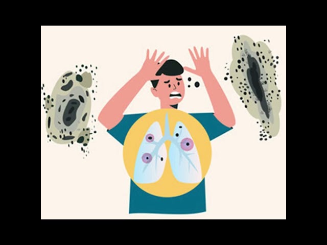 Mold Control Solutions for Food Grade Pallets and the Food Packaging Manufacturers