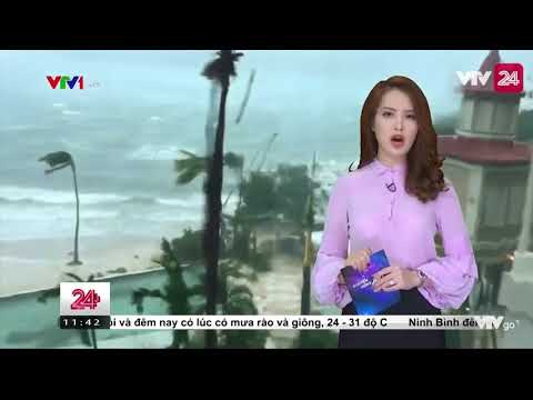 Video: Irma Forårsaker Tap For Den Berømte