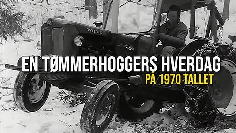 Arbeid i skogen - en tømmerhoggers hverdag.