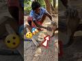 Amazing Process of Making Roti Tawa 🍳