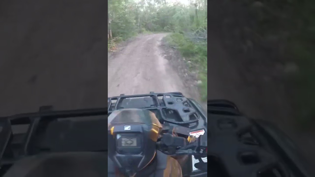 Riding some trails in northern Michigan 