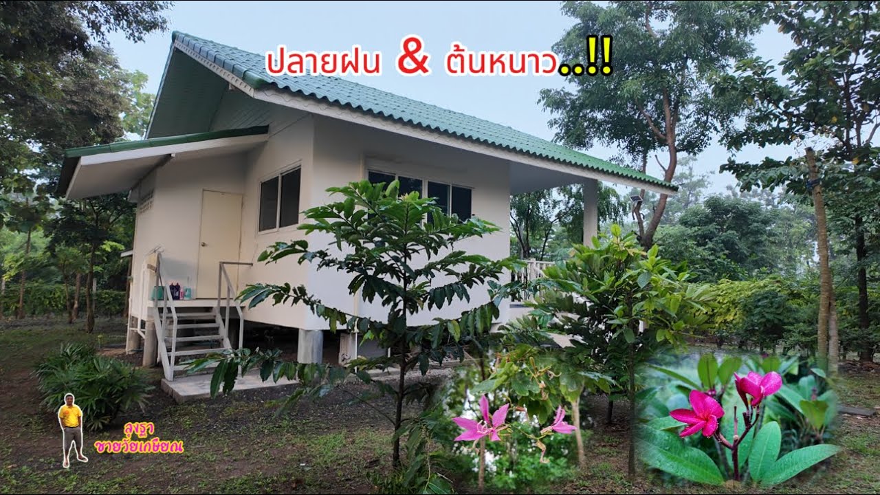 Ep37 ปลายฝน & ต้นหนาว  !!