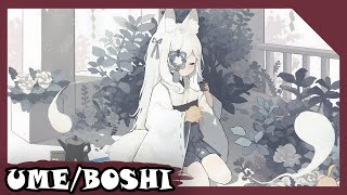 Iruka | IruGuitar - Ume/boshi [JAPANESE LOFI]