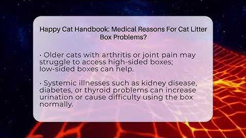 Happy Cat Handbook: Medical Reasons For Cat Litter Box Problems? - Happy Cat Handbook