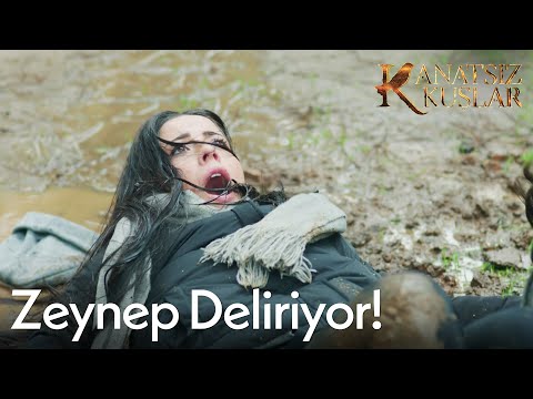 Zeynep deliriyor!😲 - Kanatsız Kuşlar🕊🕊