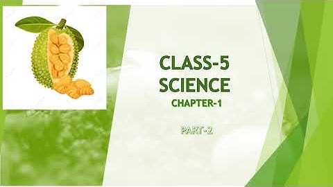 CLASS-5 SCIENCE CHAPTER-1 PLANTS INCREASING IN NUMBERS (PART-2)