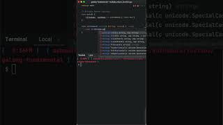GoLang Fundamental: Mastering Multiple Return Functions