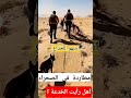 هل رأيت الخدعة ما رأيك   1 إنها مطاردة في الصحراء  نجاة اللص ١