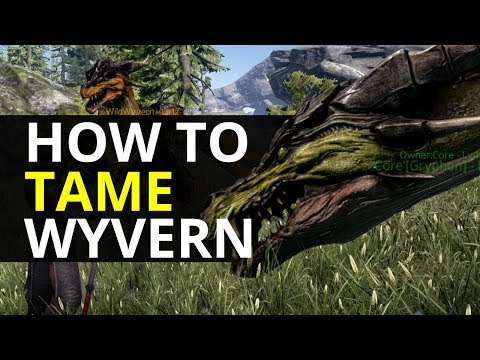 Video: Warhammer Wyverns Dodas Lidojumā