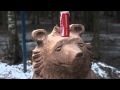 Деревянный Медведь Кока Кола Coca Cola Wooden Bear