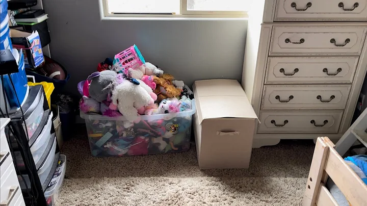 Large Toy Box Chest Storage with Flip-Top Lid Amaz...