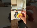 The Like Button Can Turn Into A Cat But What Else?