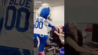 Olha A Torta Na Cara