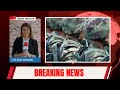 Primeflix news  retrait des troupes en afghanistan
