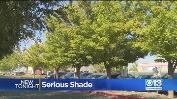 Sutter Davis Hospital Cutting Down Trees To Make Way For Solar Panels