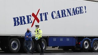 Brexit red tape: UK ports demand government help for fish exporters