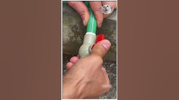 Mũi Taro Ren Ống Nước 2 Trong 1