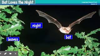 L6 Bat Loves the Night - summary